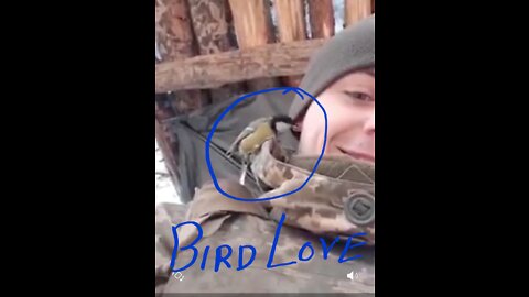 How bird love this man soldier// birds show love with man