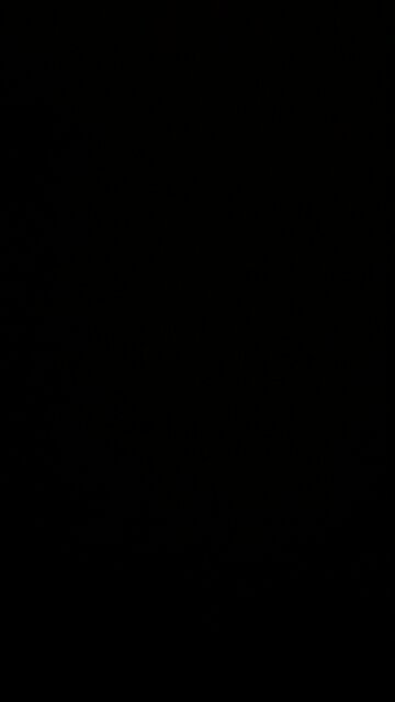 Build the Wall, Walz!