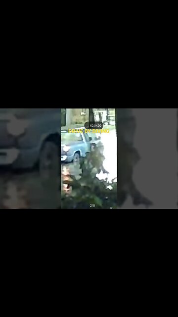 Lansing Man dives out of his car Splashes were heard #lansing #shorts