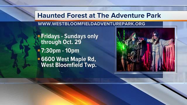 The Adventure Park: Haunted Forest