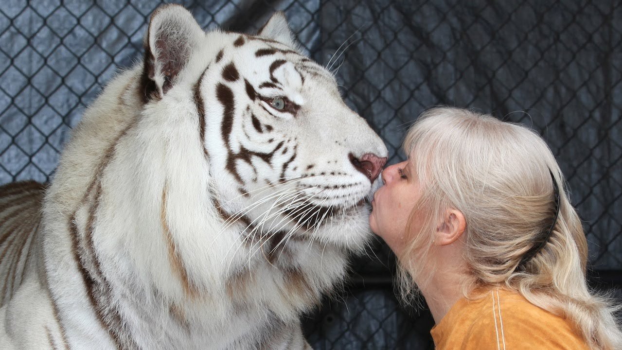 Florida Woman Keeps Bengal Tigers In Her Garden🐆🐆