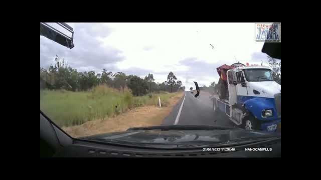 Steer tyre blows on truck nearly causing head on crash