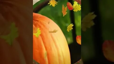 RELAXING MUSIC/DEEP SLEEP MUSIC/autumn ambience music #shorts