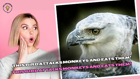 This bird attacks monkeys and eats them!