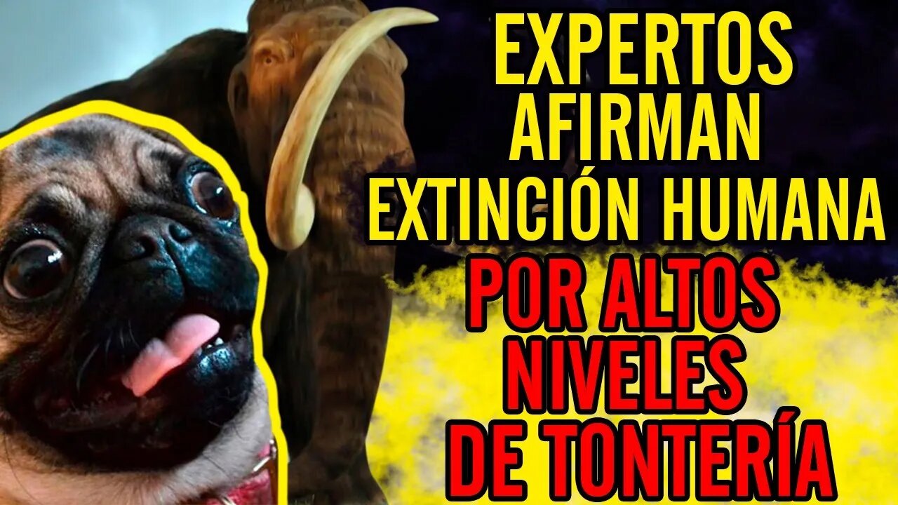 🤣Expertos afirman. Extinción humana por altos niveles de tontería🤣