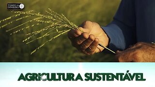 Agricultura Sustentável - com Frederico Olivi