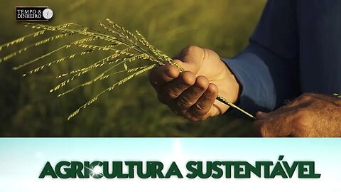 Agricultura Sustentável - com Frederico Olivi