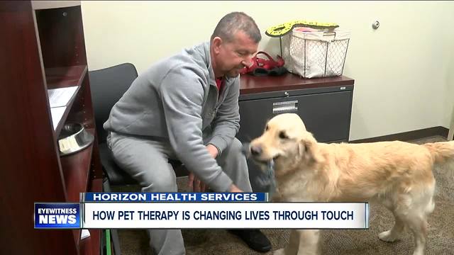 Pet Therapy: changing the lives of those in need