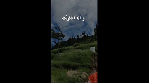 Beautiful telawat reaction