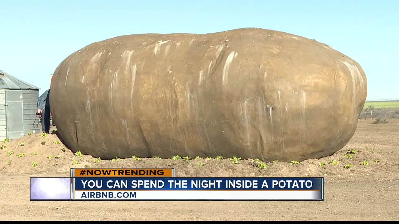 Potato hotel