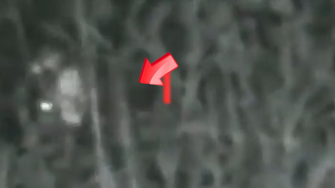 Witnessing aliens hiding in the grass [Space]