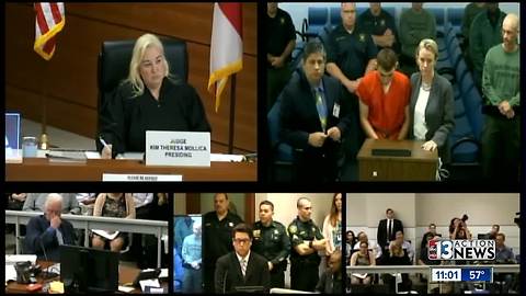 Florida high school gunman appears in court