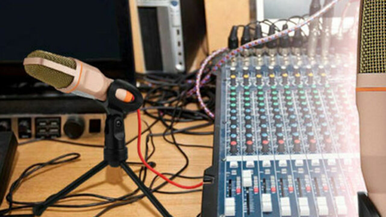 Professional Condenser Sound Studio Microphone