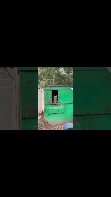 Get off my lawn.. 😂 #shorts #shortsfeed #clips #shortvideo