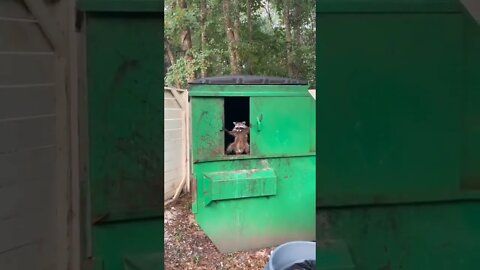 Get off my lawn.. 😂 #shorts #shortsfeed #clips #shortvideo