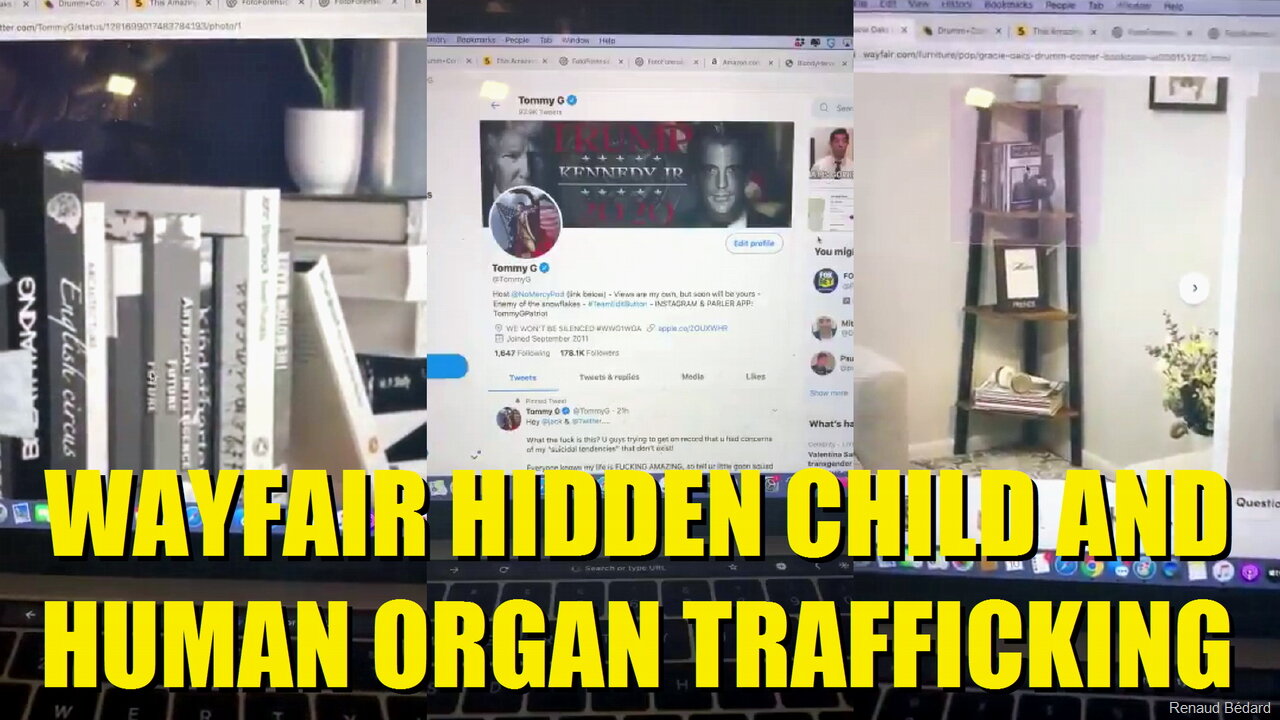 WAYFAIR DISCOVERY OF HIDDEN CHILD AND HUMAN ORGAN TRAFFICKING