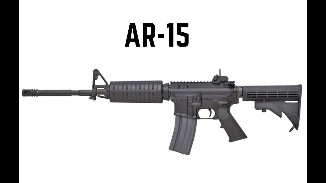 Prepper Firearms: AR-15 Rifle