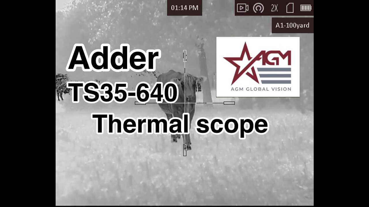 Agm Adder ts35 640 thermal scope review