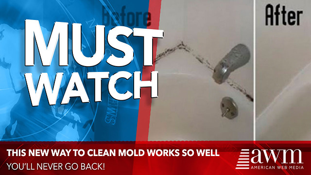 New Mold Killing Method Works Better Than Any Other