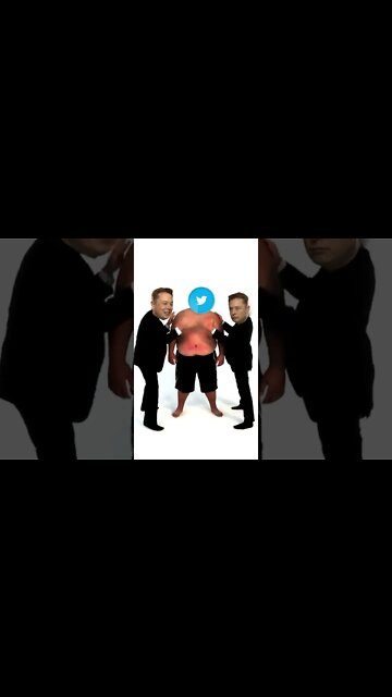 Elon Musk Dominates Twitter!