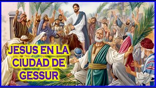 JESUS EN LA CIUDAD DE GESSUR - CAPITULO 167 - VIDA DE JESUS Y MARIA POR ANA CATALINA EMMERICK