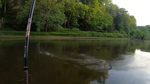 Musky Battle From A Canoe (SHORT)