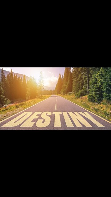 How To Manifest Things In Your Life