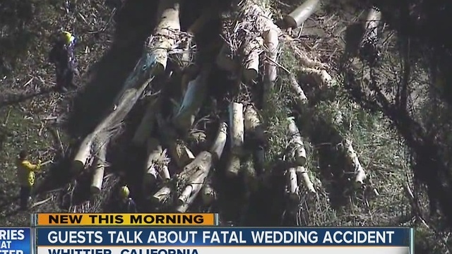 Guests talk about fatal wedding accident