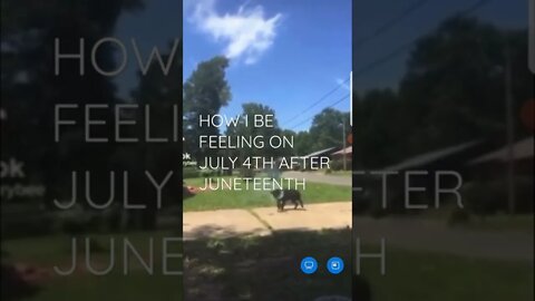 Laugh of the Day: Happy 4th