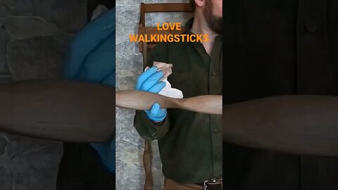 our shop sells these walkingsticks we have six of the smallones left.