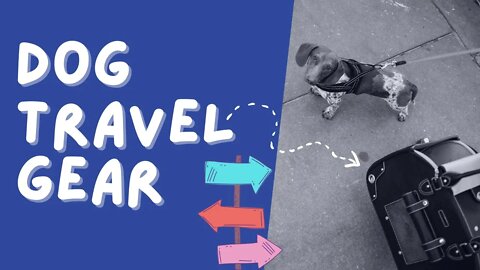 Dog Travel Gear Favorites