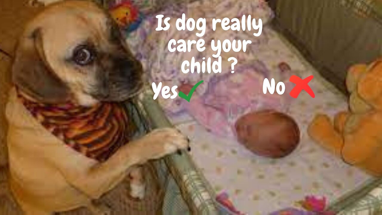 Is dog really care your child ?