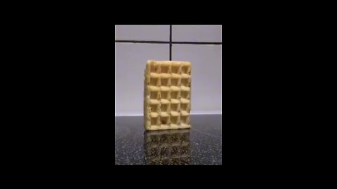 Waffle falling over 1 million times