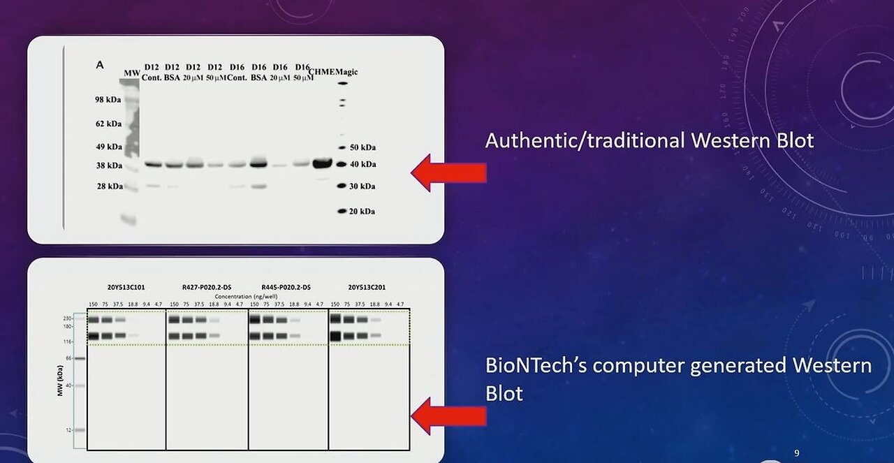 Sonia Elijah: Fraudulent data submissions from the Pfizer CV-19 Trial Study