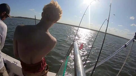 16 VS First Big Shark