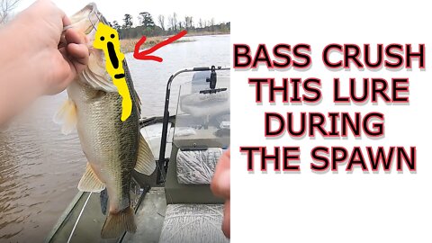 BASS CRUSH THIS LURE DURING THE SPAWN (ROSS BARNETT)