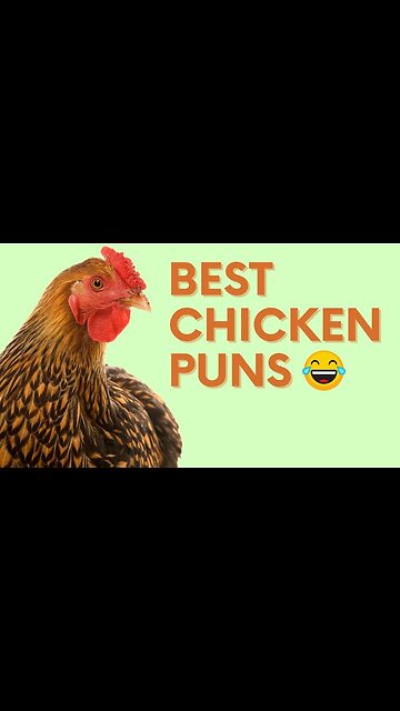 Funny Hen..