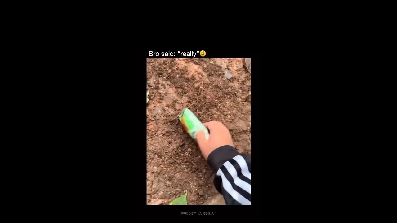 Bro, are you serious?