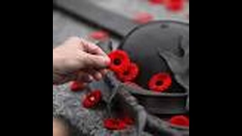 Remembrance Day In Guelph