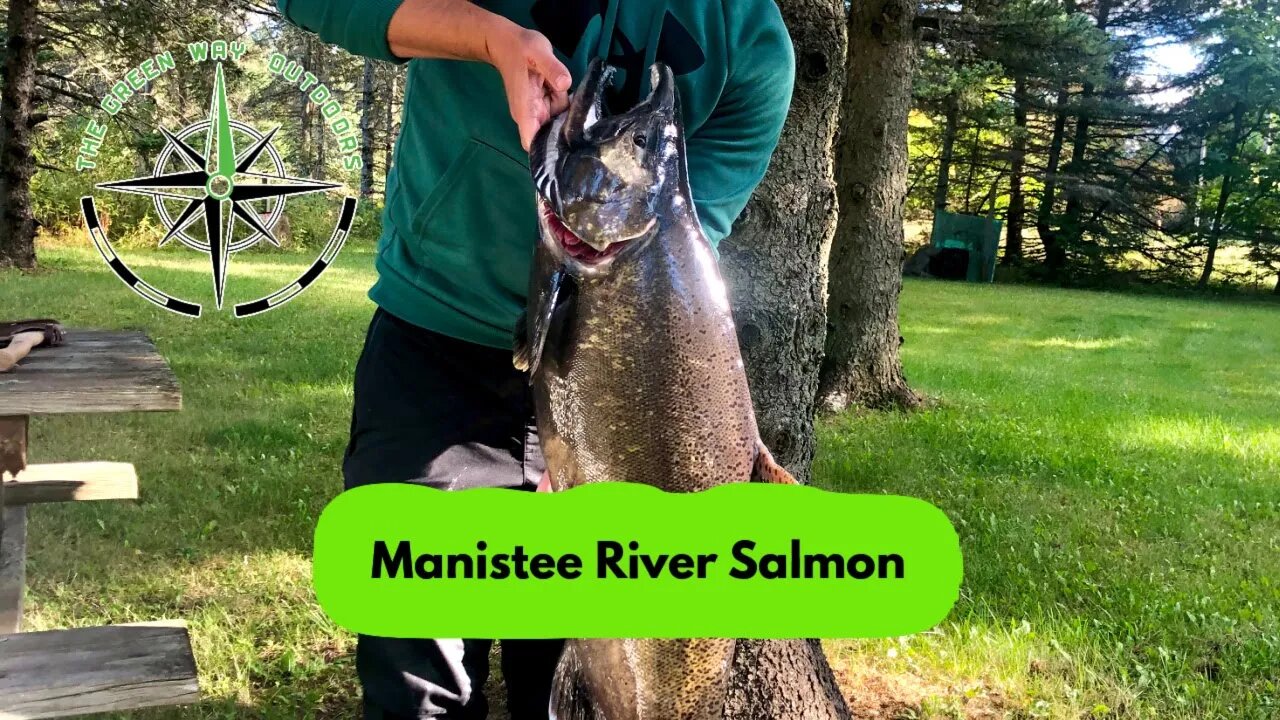 Episode 24: The Manistee River Salmon Migration Teaser