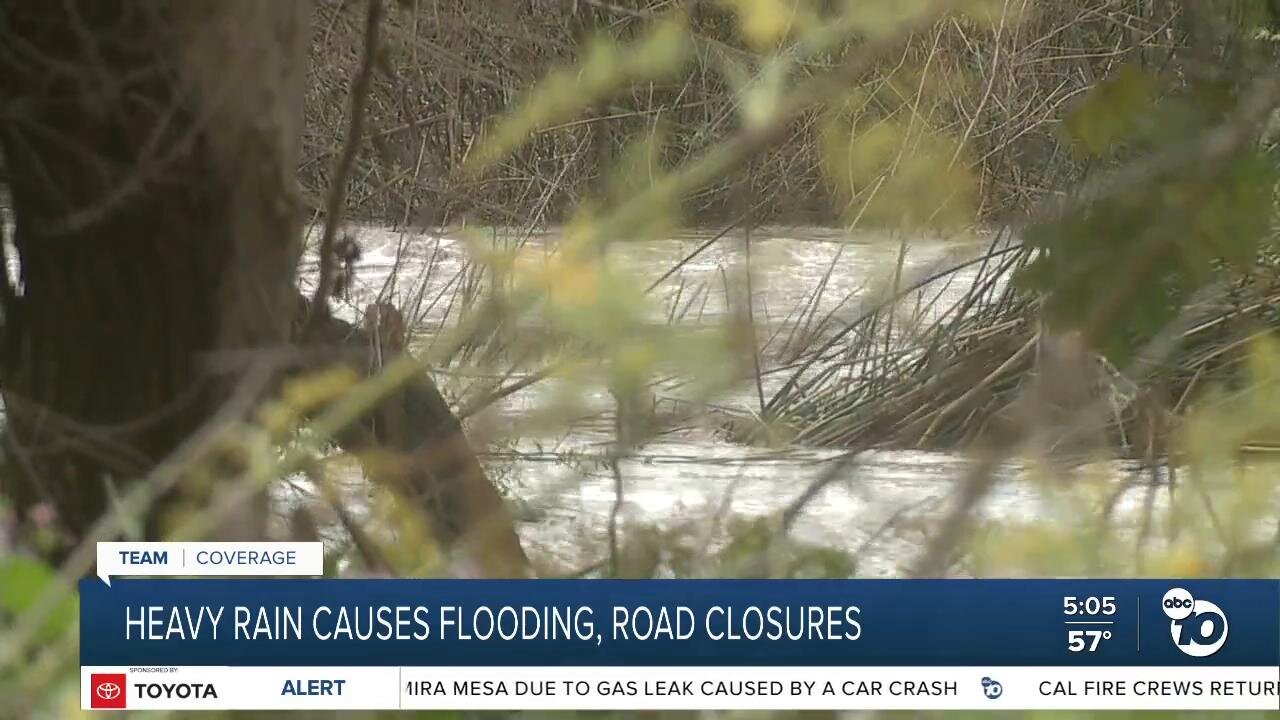 Farm animals left stranded after gushing water leads to road closure