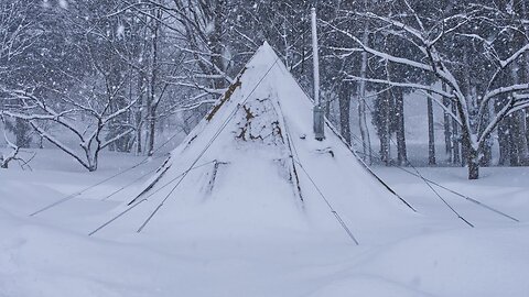 "Snowstorm Odyssey: Surviving Winter's Wrath"