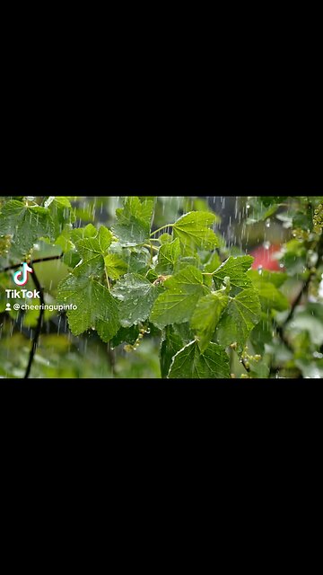 Change Your Outlook On Life