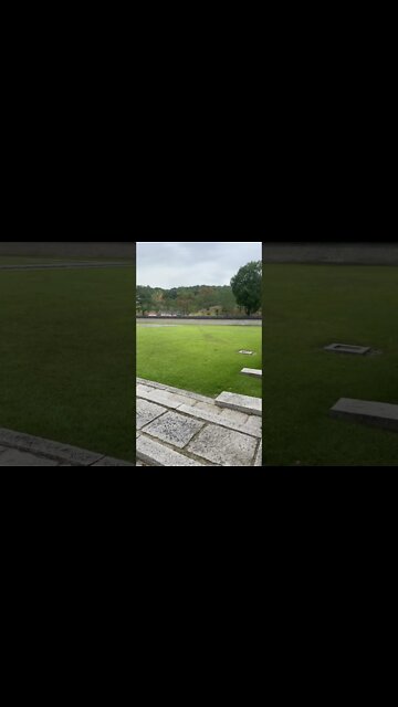 사직단 사직대제 곡식 풍년 제사