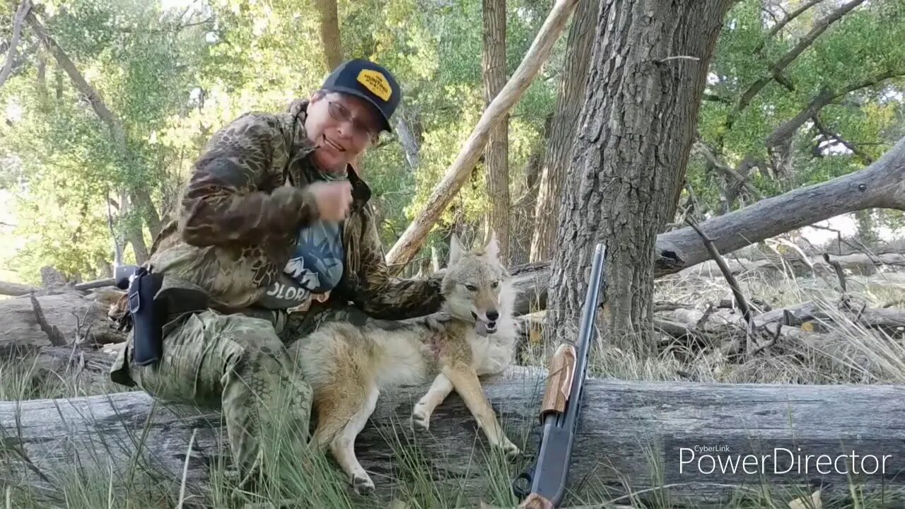 First Coyote