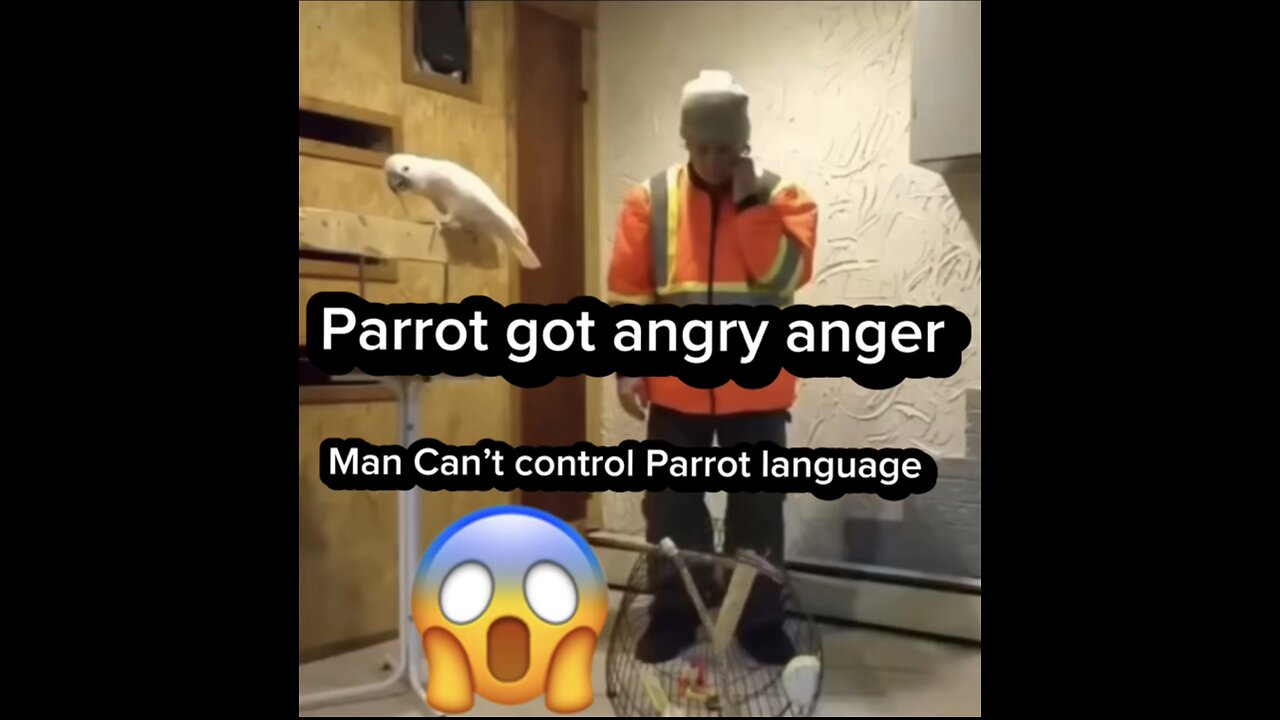 Parrot got angry anger 😱