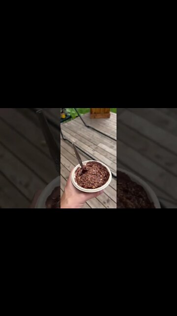 Fuel Your Body Overnight Oats