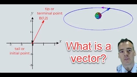 What is a vector?