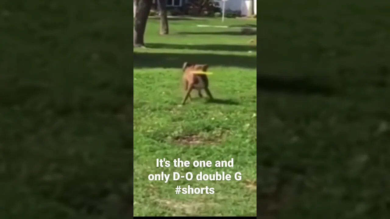 It's the one and only D-O double G #shorts