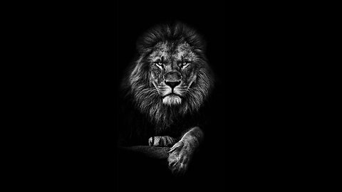 Who are you? Manual to your personality.